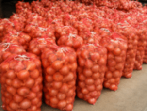 Onions 25kg Bag