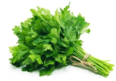 Fresh Flat Parsley Bunch